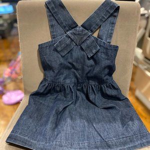 Anthem of the Ants Vintage Bow Dress Dark Cove Wash (jean) Size 3t